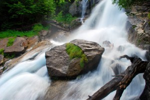 Rocher dans un torrent de montagne