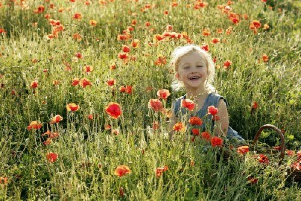 11435409-petite-fille-souriante-dans-un-champ-de-fleurs