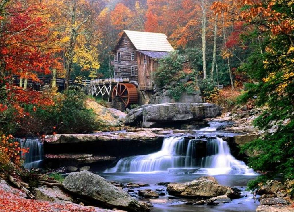 Maison dans la foret