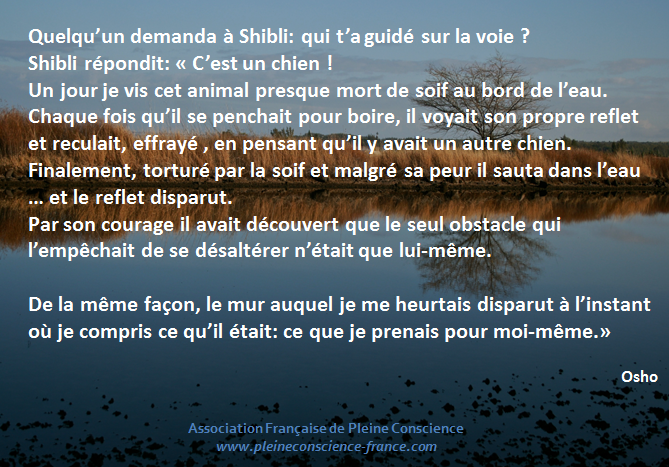 C'est l'idée que je me faisais de moi-même qui m'empêchait de trouver la voie